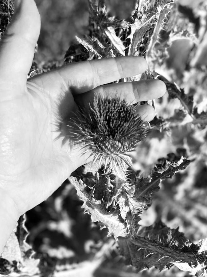 Untitled Untitled